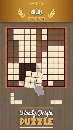 Game screenshot Block Puzzle Woody Origin hack