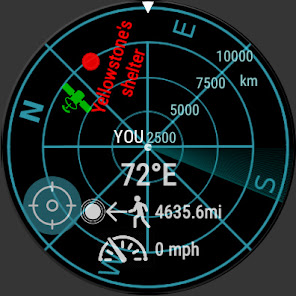 Captura de Pantalla 11 Compass Navigation (Wear OS) android