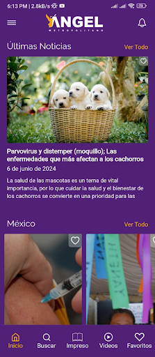 App screenshot 1