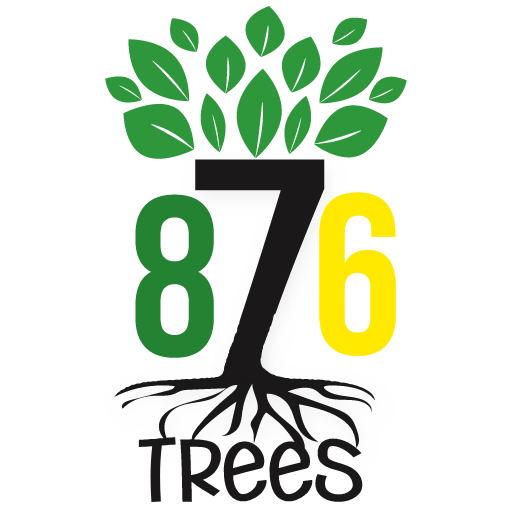 876 Trees logo