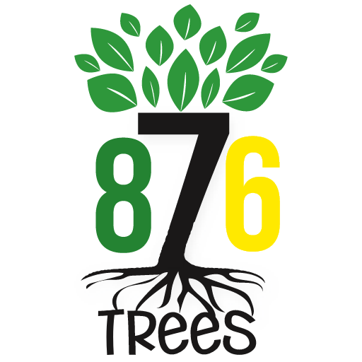 876 Trees  Icon