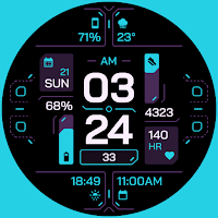 TKS 25 Circuit Watch Face
