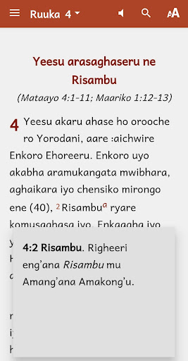 Android application Ngoreme Bible with audio screenshort