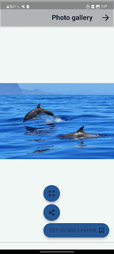 Android application Dolphin Images Offline screenshort