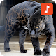 Jaguar tiger sounds Download on Windows