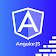 Learn AngularJS - Angular Development Guide icon
