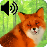 Electronic Decoy For Fox Hunting icon