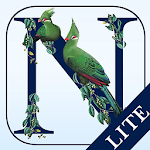Cover Image of Скачать Newman's Birds LITE  APK
