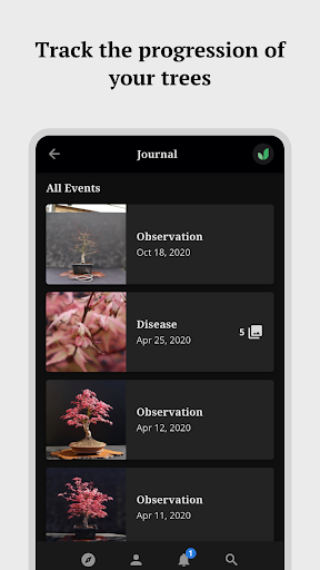 Jooni – Bonsai Tracking and In Screen 3