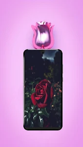 rose background cute