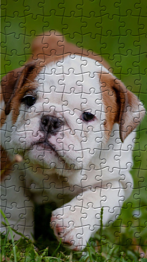 Bulldogs Jigsaw Puzzles Screen 3