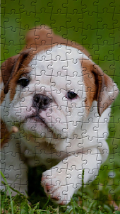Bulldogs Jigsaw Puzzles