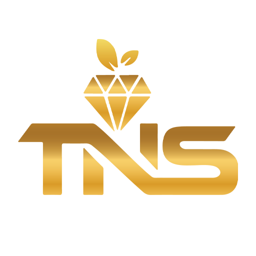 TNS Bullion logo