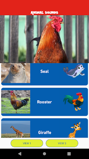 Sound and videos of animals