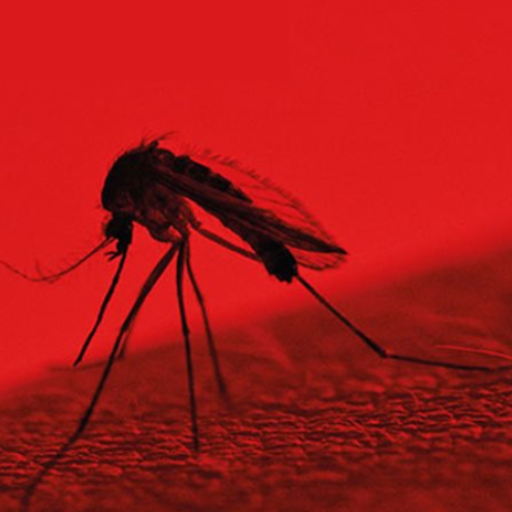 Mosquito Sound Effects logo