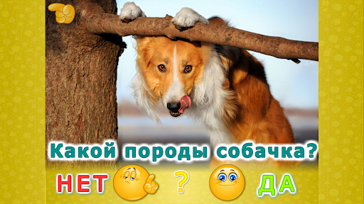 Животные для детей и малышей Screen 3
