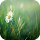 Grass 3D Live Wallpaper