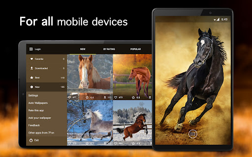 Screenshot of Horse Wallpapers 4K