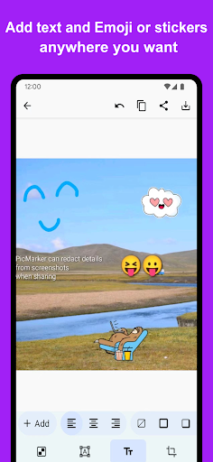 Screenshot of PicMarker: Blur & Markup