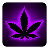 Rasta Purple Neon Keyboard icon