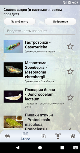 EcoGuide: Water Invertebrates Screen 3
