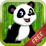 Panda Match - Zoo Run From Dr icon