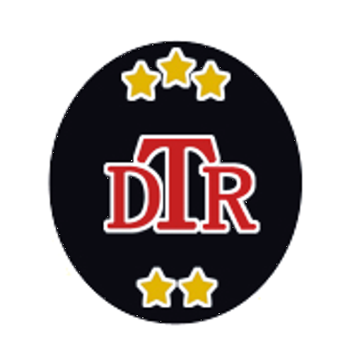 Disk Taxi Realengo logo
