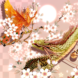 Dragon Suzaku Sakura icon