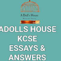 Adolls House- Essays  Answers