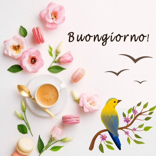 Buongiorno, Buonanotte logo