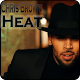 Chris Brown ~ Mp3 Download on Windows