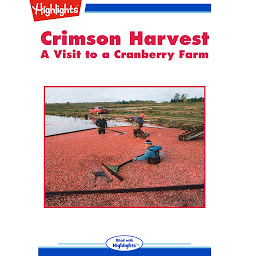 Obraz ikony: Crimson Harvest: A Visit to a Cranberry Farm