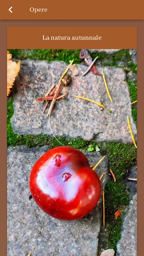 Juri Lilli Screenshot 4 - AppWisp.com