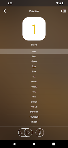 Learn Aymara screenshot 2