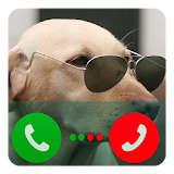 Fake Call Dog icon