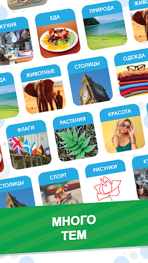 101 Картинка : Фото Викторина