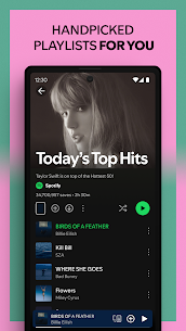 Spotify Premium 3