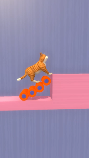 Cat Maze 3D