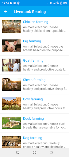 Kilimo Soft Screen 2