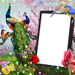 screenshot of Love Birds Insta DP : Bird DP 