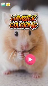 Livro colorir hamster