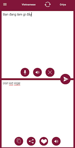 Odia - Vietnamese Translator Screen 2