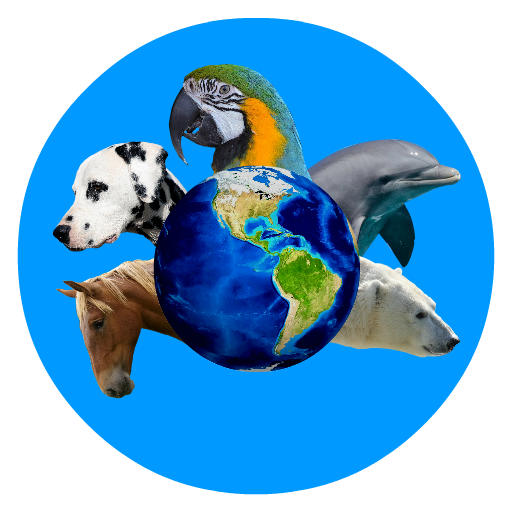ABC with animals (English) logo