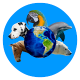ABC with animals free English alphabet icon