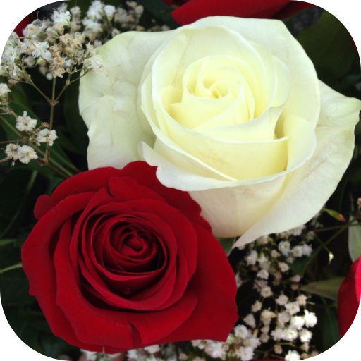 صور ورود - AppWisp.com