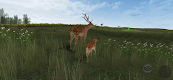 screenshot of Life Of Deer Remastered