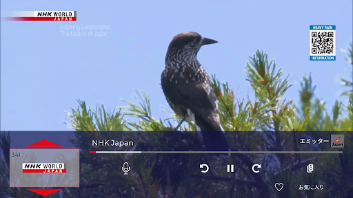 Japan Live Screen 2