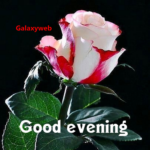 Good Evening Images 2024 logo