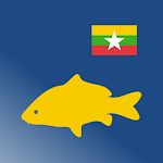 ရွှေငါး - Shwe Ngar Apk