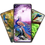 Cover Image of 下载 Peacock Feather Wallpaper  APK